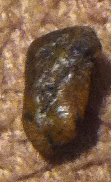 image.jpg