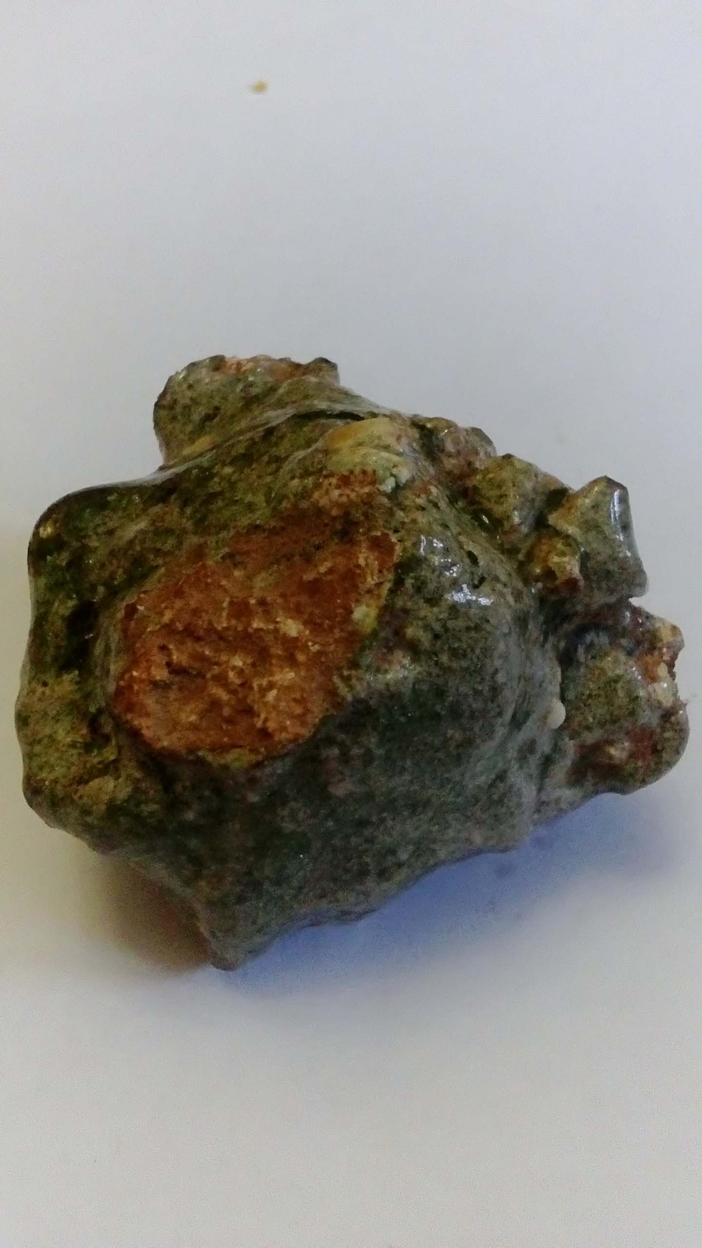 Foto 2.jpg