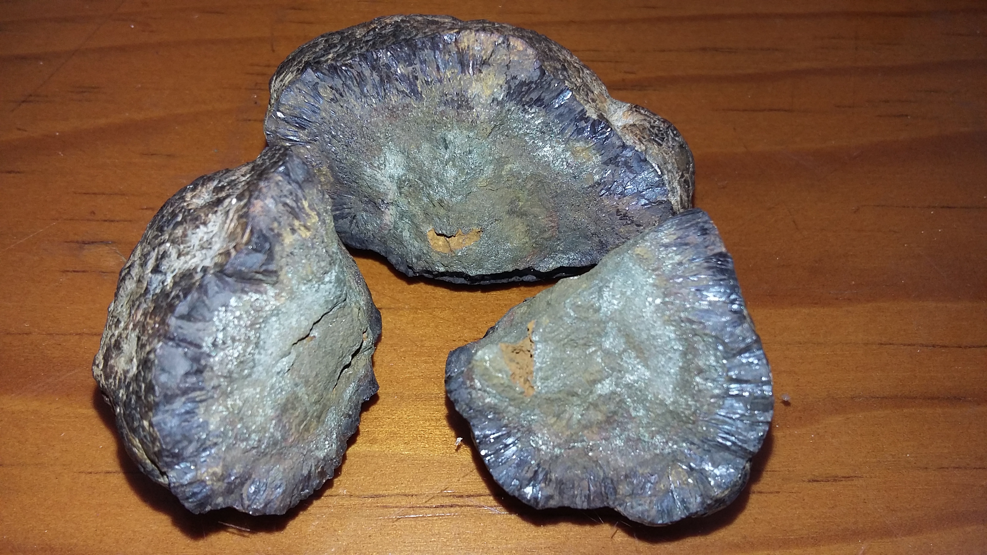 20170207_113256.jpg