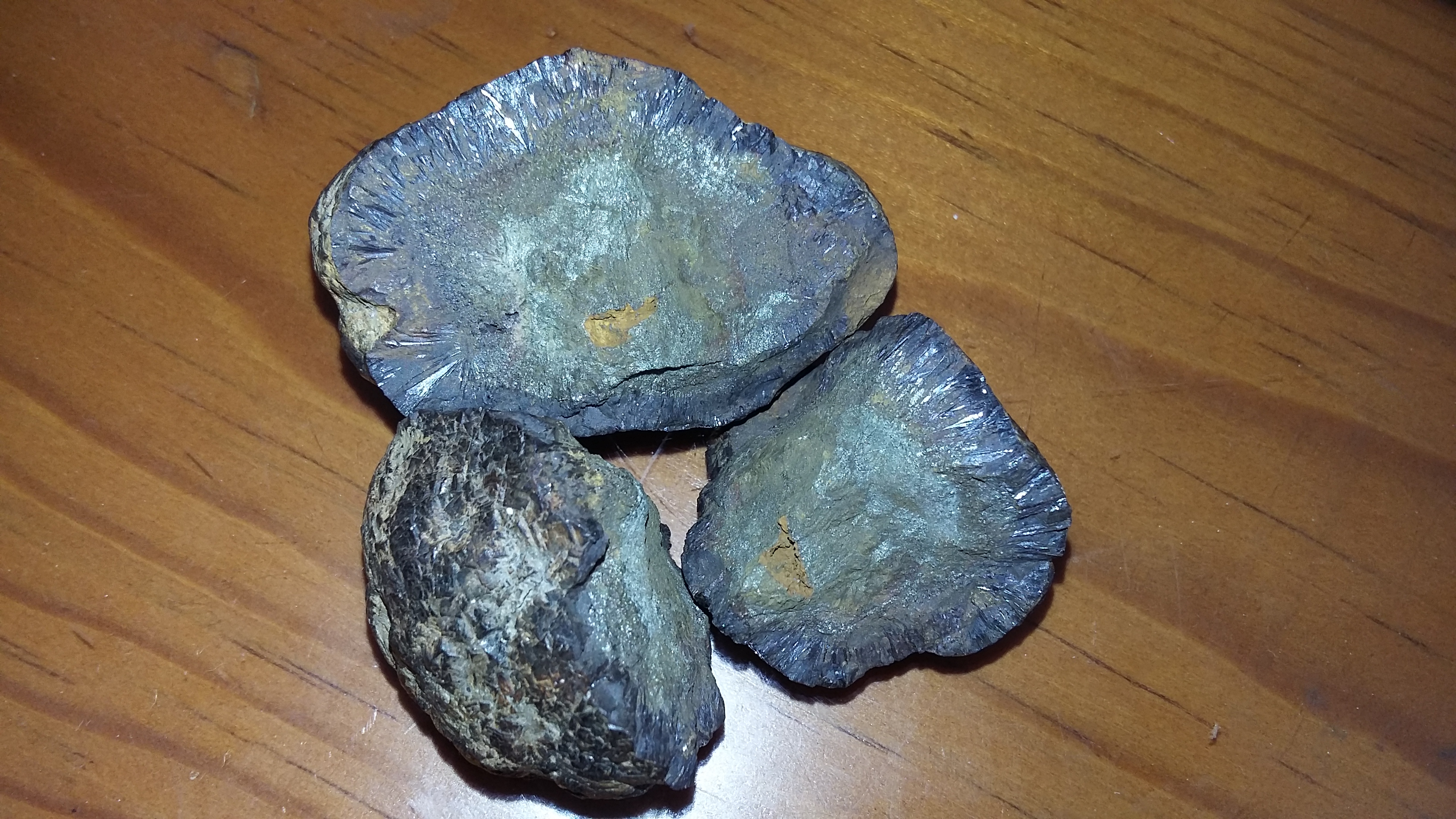 20170207_113622.jpg