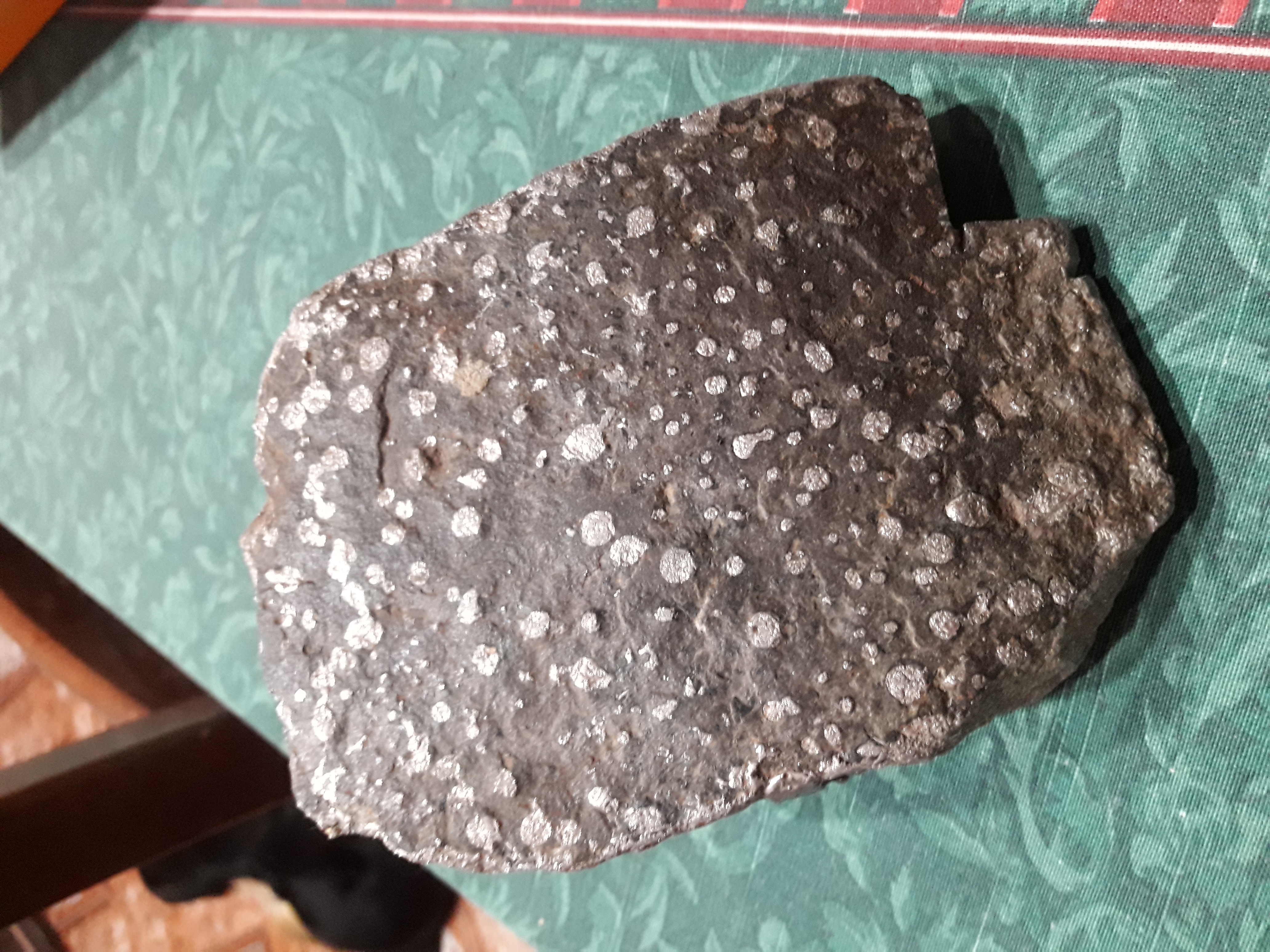 20190929_091638.jpg