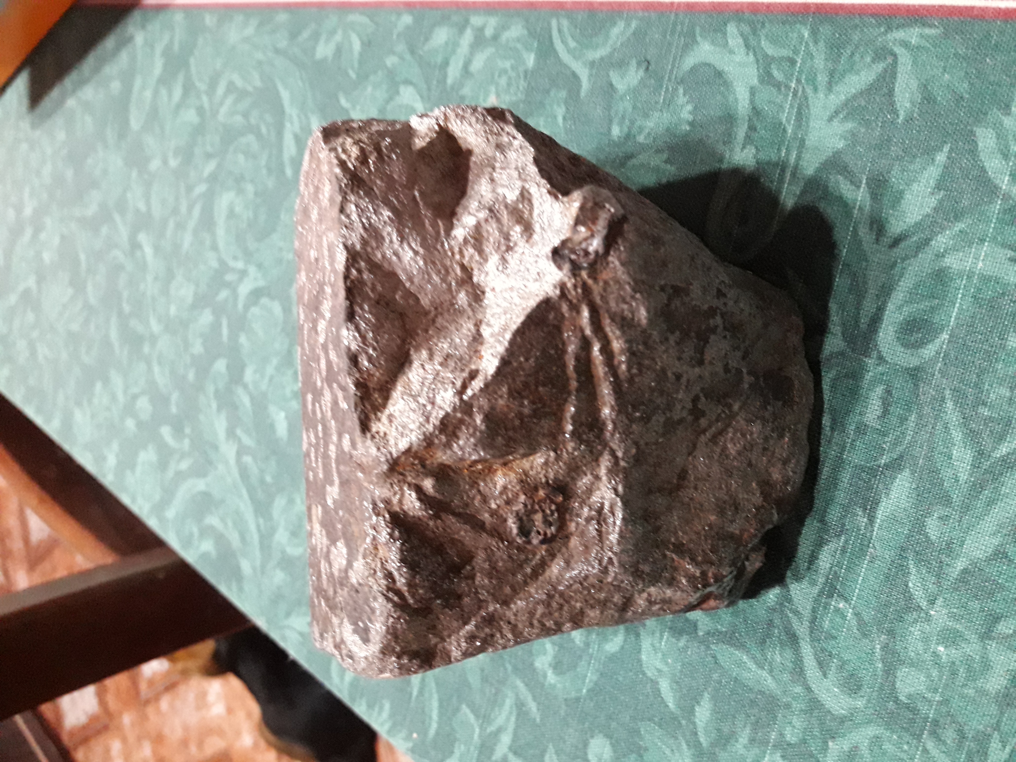 20190929_091657.jpg