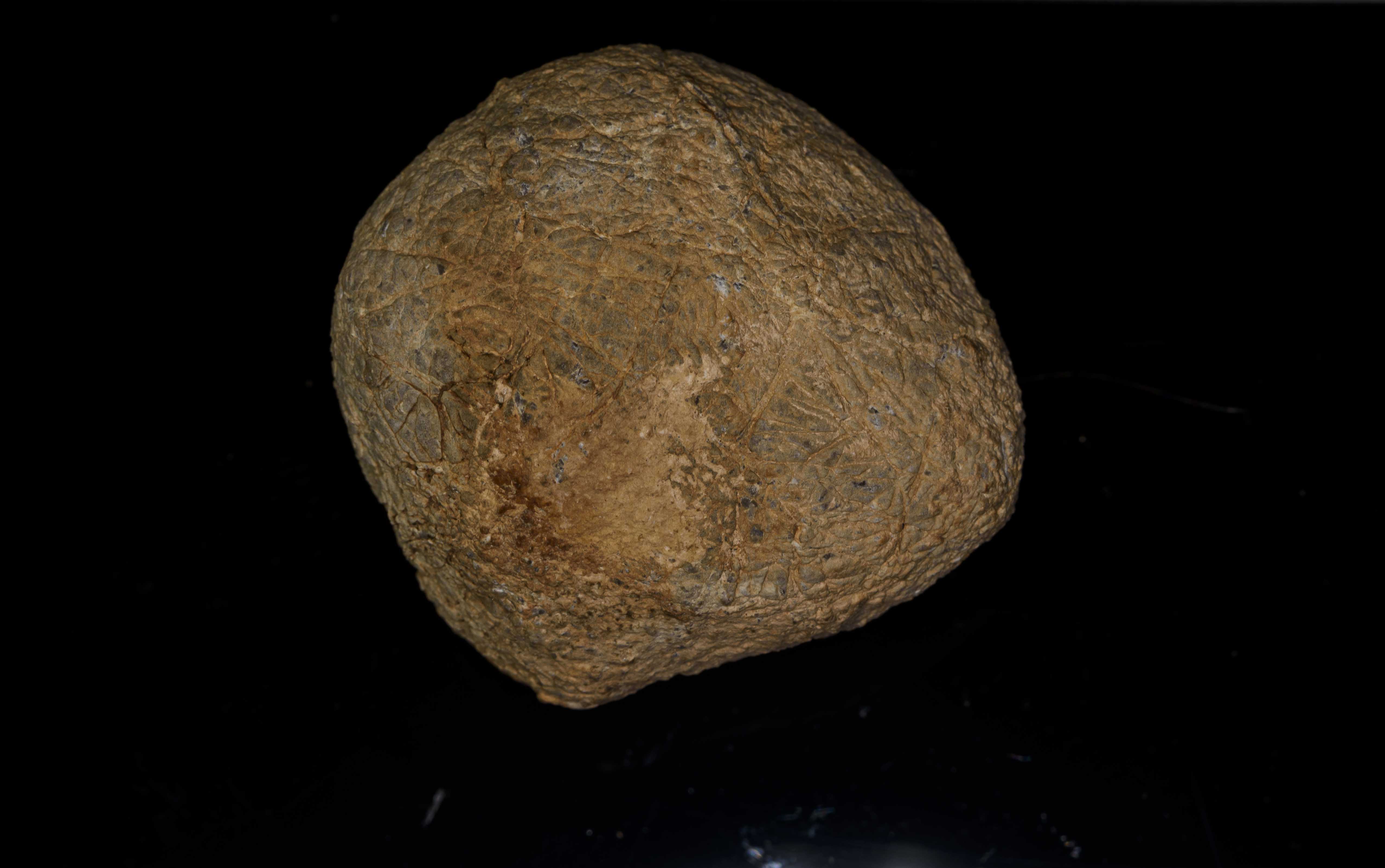 METEORITO 14022020 10.jpg