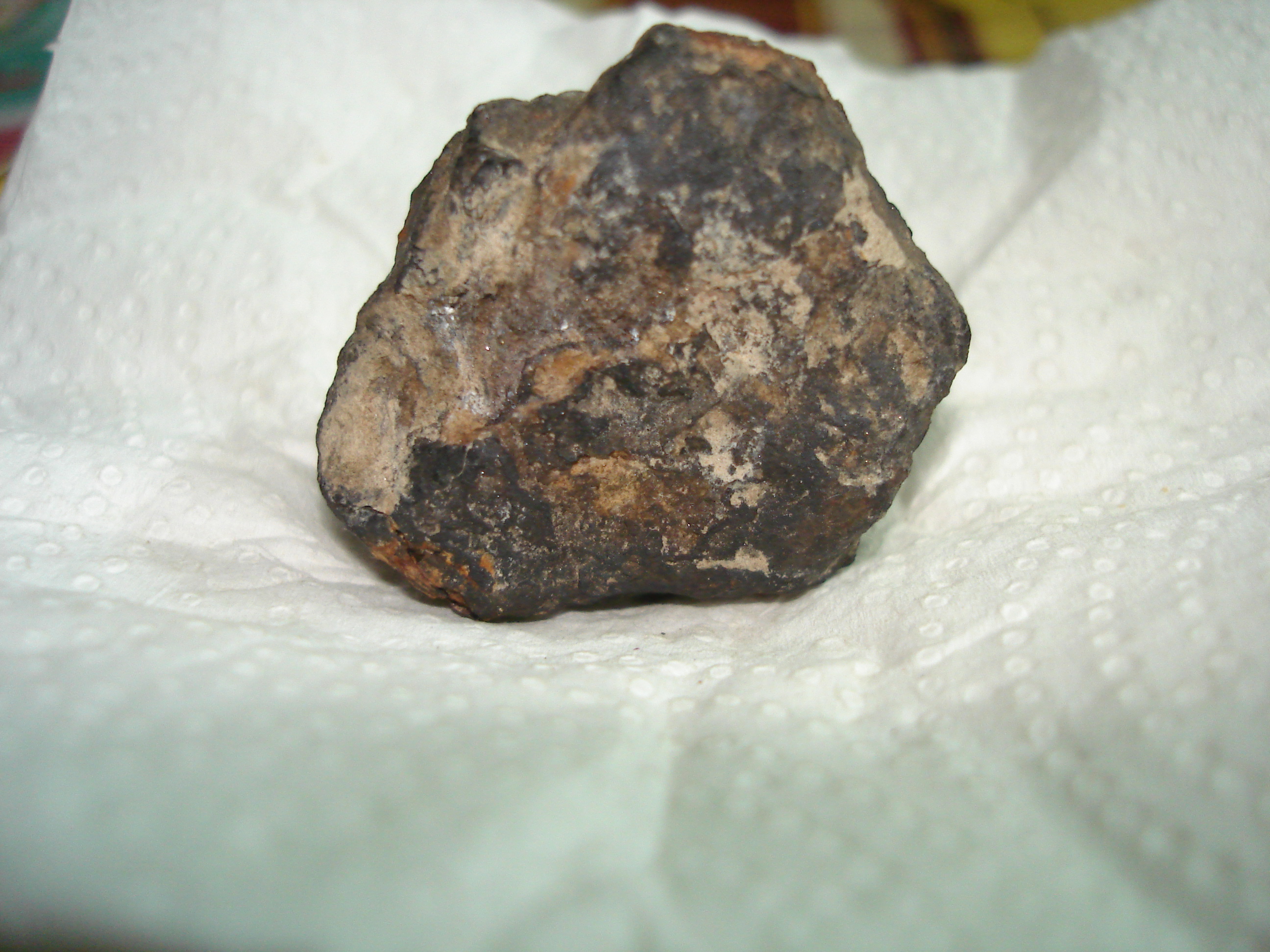 DSC00260.JPG