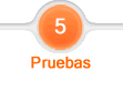 Paso 5